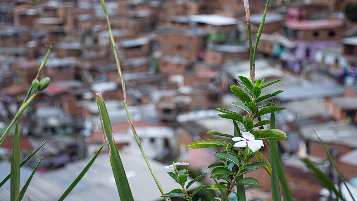 City Tour Medellín + Comuna 13 Tour